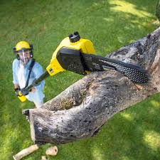 Soil Testing and Treatment in Harrisburg, NC